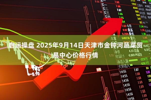 启运操盘 2025年9月14日天津市金钟河蔬菜贸易中心价格行情