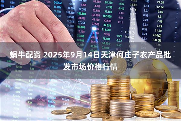 蜗牛配资 2025年9月14日天津何庄子农产品批发市场价格行情