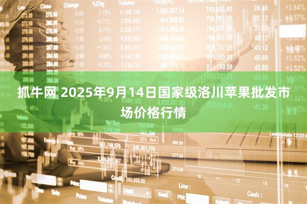 抓牛网 2025年9月14日国家级洛川苹果批发市场价格行情