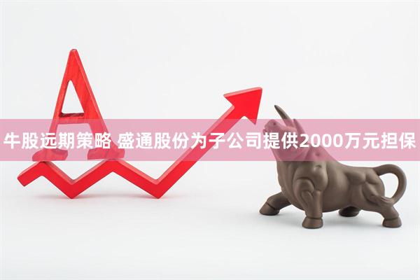 牛股远期策略 盛通股份为子公司提供2000万元担保